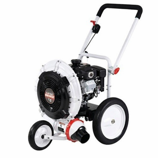 Picture of Leaf Blower (Push Type)